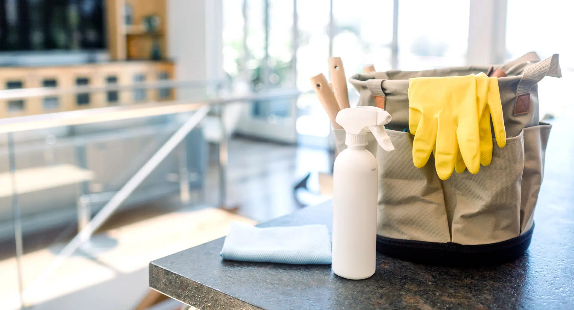 Cleaning supplies on a countertop