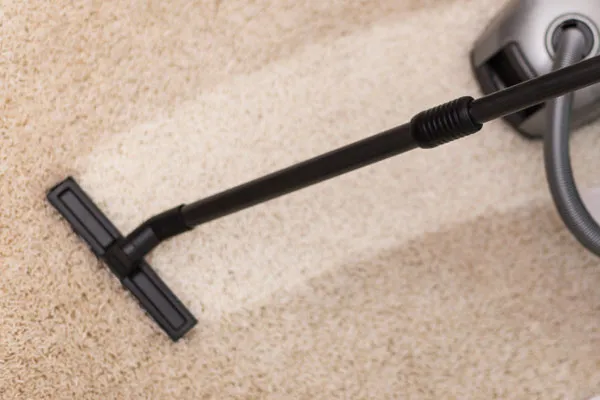 Carpet Cleaning Cape Town and Johannesburg Exreme Clean